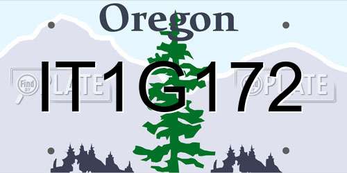 IT1G172 Oregon License Plate