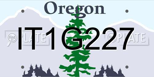 IT1G227 Oregon License Plate