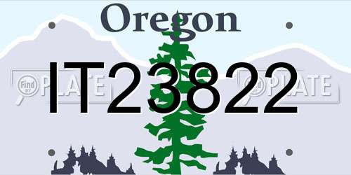 IT23822 Oregon License Plate