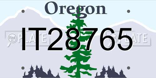 IT28765 Oregon License Plate