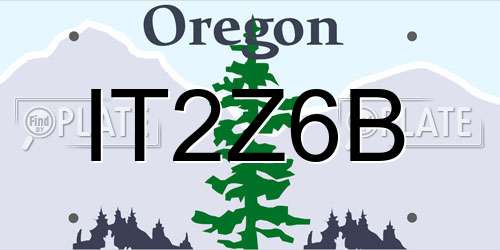 IT2Z6B Oregon License Plate