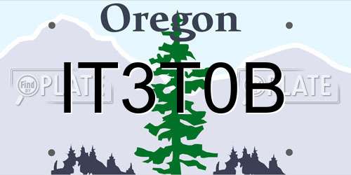 IT3T0B Oregon License Plate