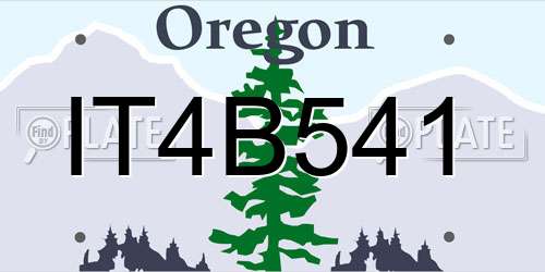 IT4B541 Oregon License Plate