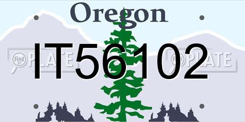 IT56102 Oregon License Plate