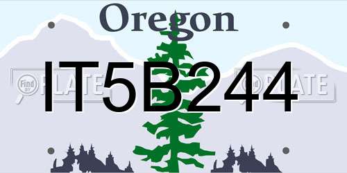 IT5B244 Oregon License Plate