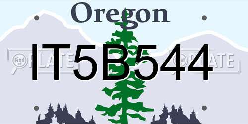 IT5B544 Oregon License Plate