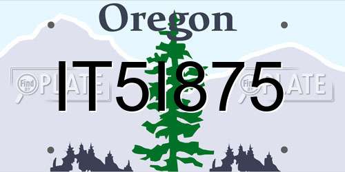 IT5I875 Oregon License Plate