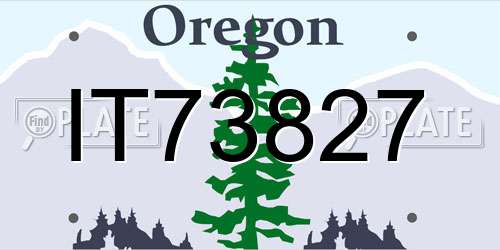 IT73827 Oregon License Plate