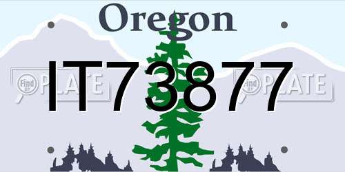 IT73877 Oregon License Plate
