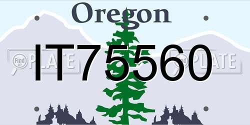 IT75560 Oregon License Plate