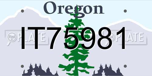 IT75981 Oregon License Plate