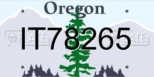 IT78265 Oregon License Plate