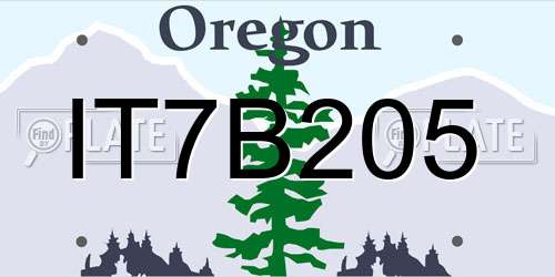 IT7B205 Oregon License Plate