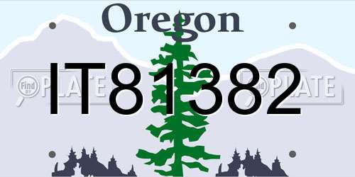 IT81382 Oregon License Plate
