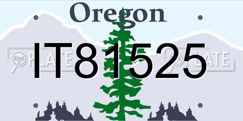 IT81525 Oregon License Plate
