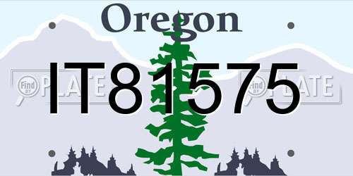 IT81575 Oregon License Plate