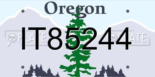 IT85244 Oregon License Plate