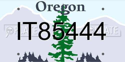 IT85444 Oregon License Plate