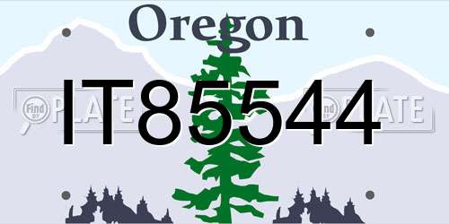 IT85544 Oregon License Plate