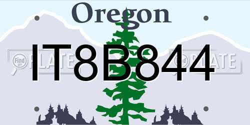 IT8B844 Oregon License Plate