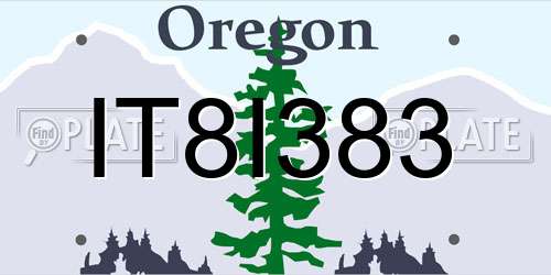IT8I383 Oregon License Plate