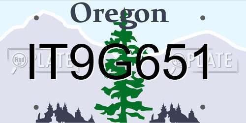 IT9G651 Oregon License Plate
