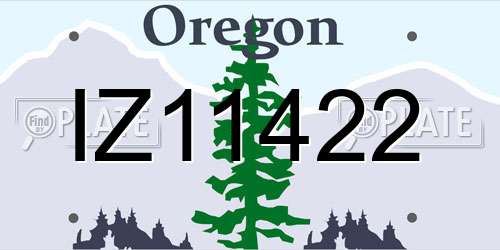 IZ11422 Oregon License Plate