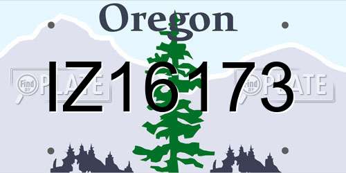 IZ16173 Oregon License Plate