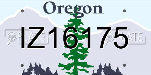 IZ16175 Oregon License Plate