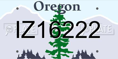 IZ16222 Oregon License Plate