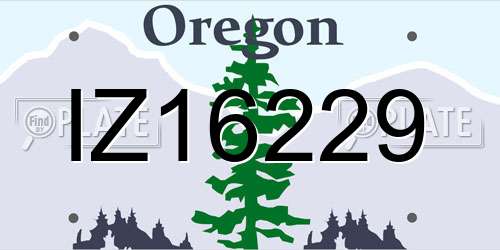 IZ16229 Oregon License Plate
