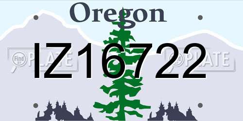 IZ16722 Oregon License Plate
