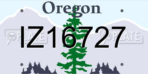 IZ16727 Oregon License Plate