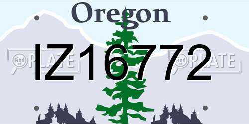IZ16772 Oregon License Plate