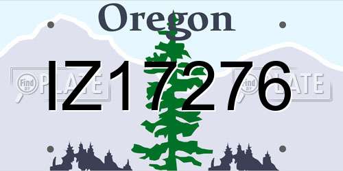 IZ17276 Oregon License Plate
