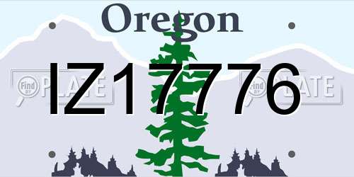 IZ17776 Oregon License Plate