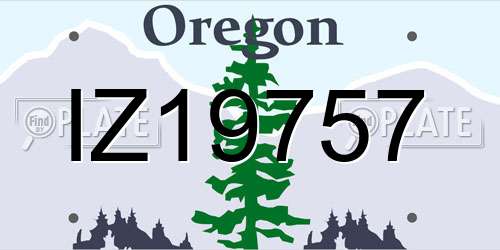 IZ19757 Oregon License Plate