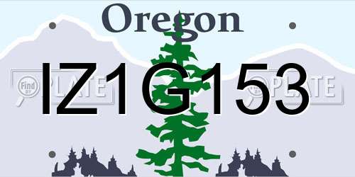 IZ1G153 Oregon License Plate