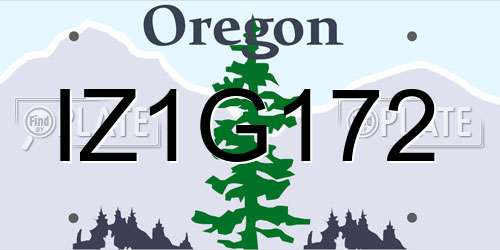 IZ1G172 Oregon License Plate