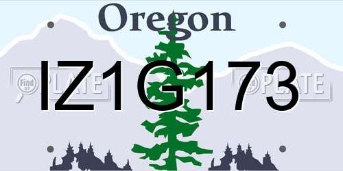 IZ1G173 Oregon License Plate