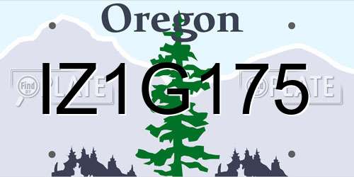 IZ1G175 Oregon License Plate