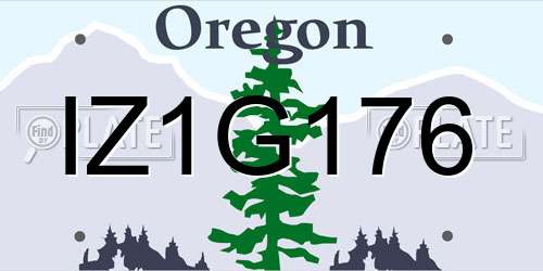 IZ1G176 Oregon License Plate