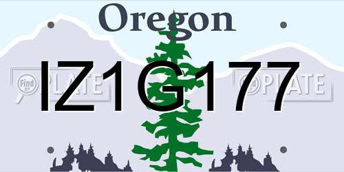 IZ1G177 Oregon License Plate