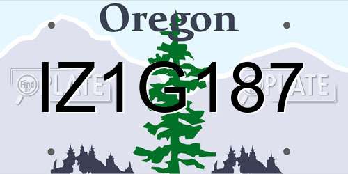 IZ1G187 Oregon License Plate