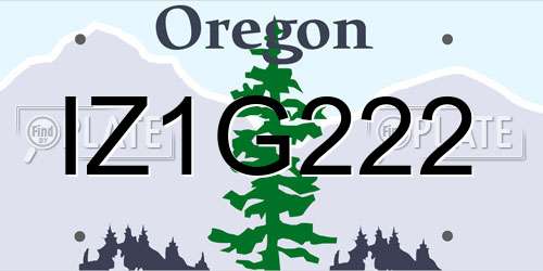 IZ1G222 Oregon License Plate