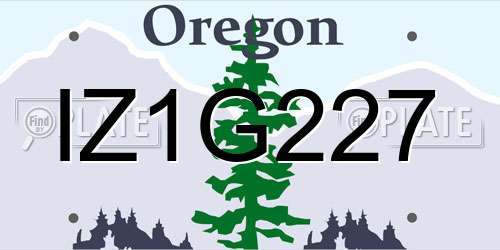 IZ1G227 Oregon License Plate