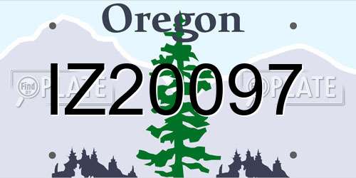 IZ20097 Oregon License Plate