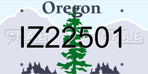 IZ22501 Oregon License Plate