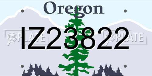 IZ23822 Oregon License Plate