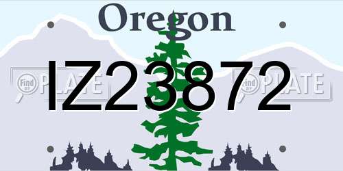 IZ23872 Oregon License Plate